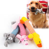 Dog Cat Pet Chew Toys