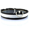 Nylon LED Pet Dog Collar