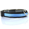 Nylon LED Pet Dog Collar