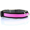 Nylon LED Pet Dog Collar