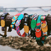 Quick Release High Quality Dog Collar
