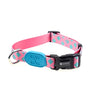 Quick Release High Quality Dog Collar
