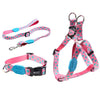 Quick Release High Quality Dog Collar