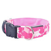 Dogs Luminous Fluorescent Collars