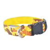 Dogs Luminous Fluorescent Collars