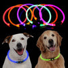 Beautiful LED Pet Dog Collar