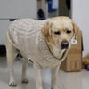Wool Sweater for Dogs