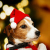 Christmas Winter Pet Cap