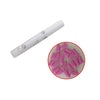 Colorful Pet Cat Claw Covers