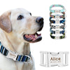 Personalized Nylon Puppy Collars